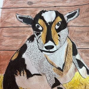 Colorful Original Goat In Barn Color Pencil Drawing
